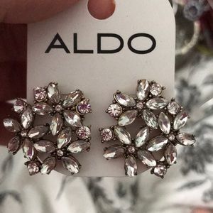 Stunning big earrings